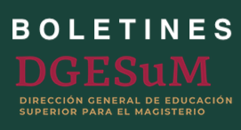 Descarga el boletin